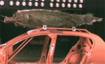 Crashtest: Weihnachtsbaum-Transport