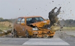 Crashtest: Wildunfälle